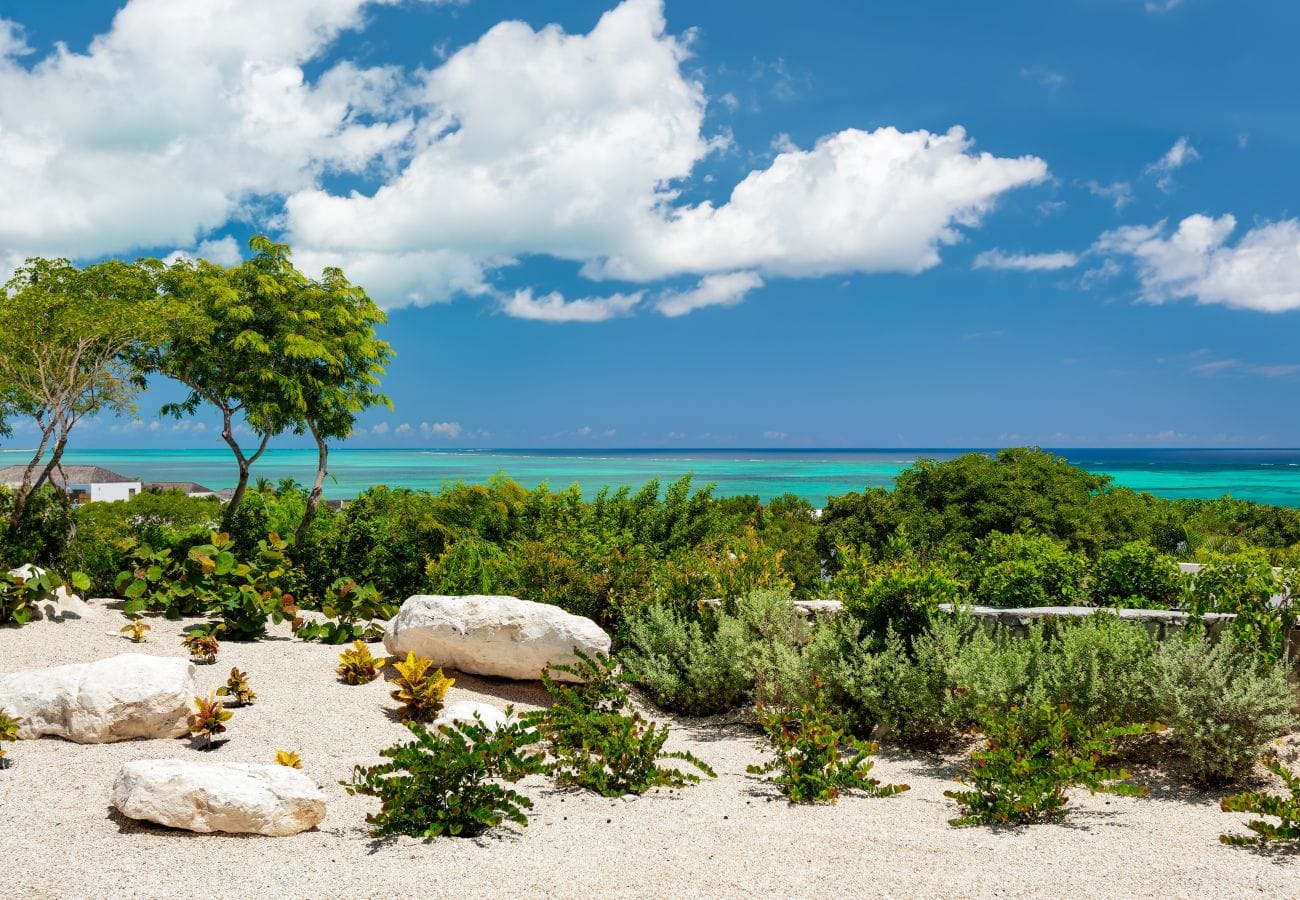 Tropical garden with ocean view.