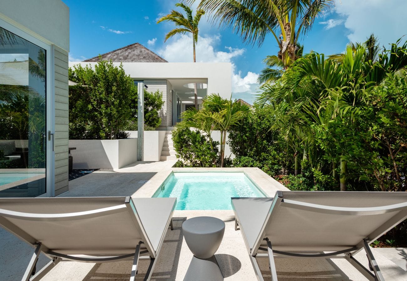 Poolside with lounge chairs, palm trees.