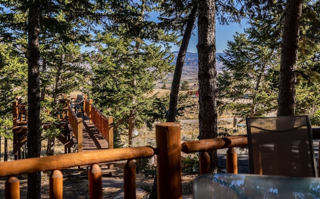 Wooden deck among tall trees.