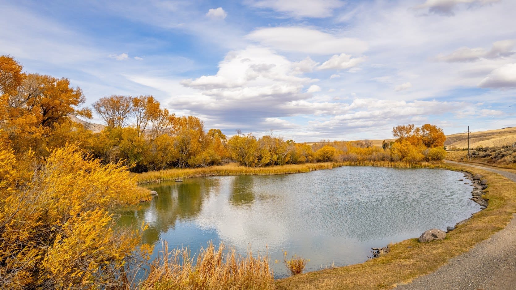 Autumn trees by a serene pond.