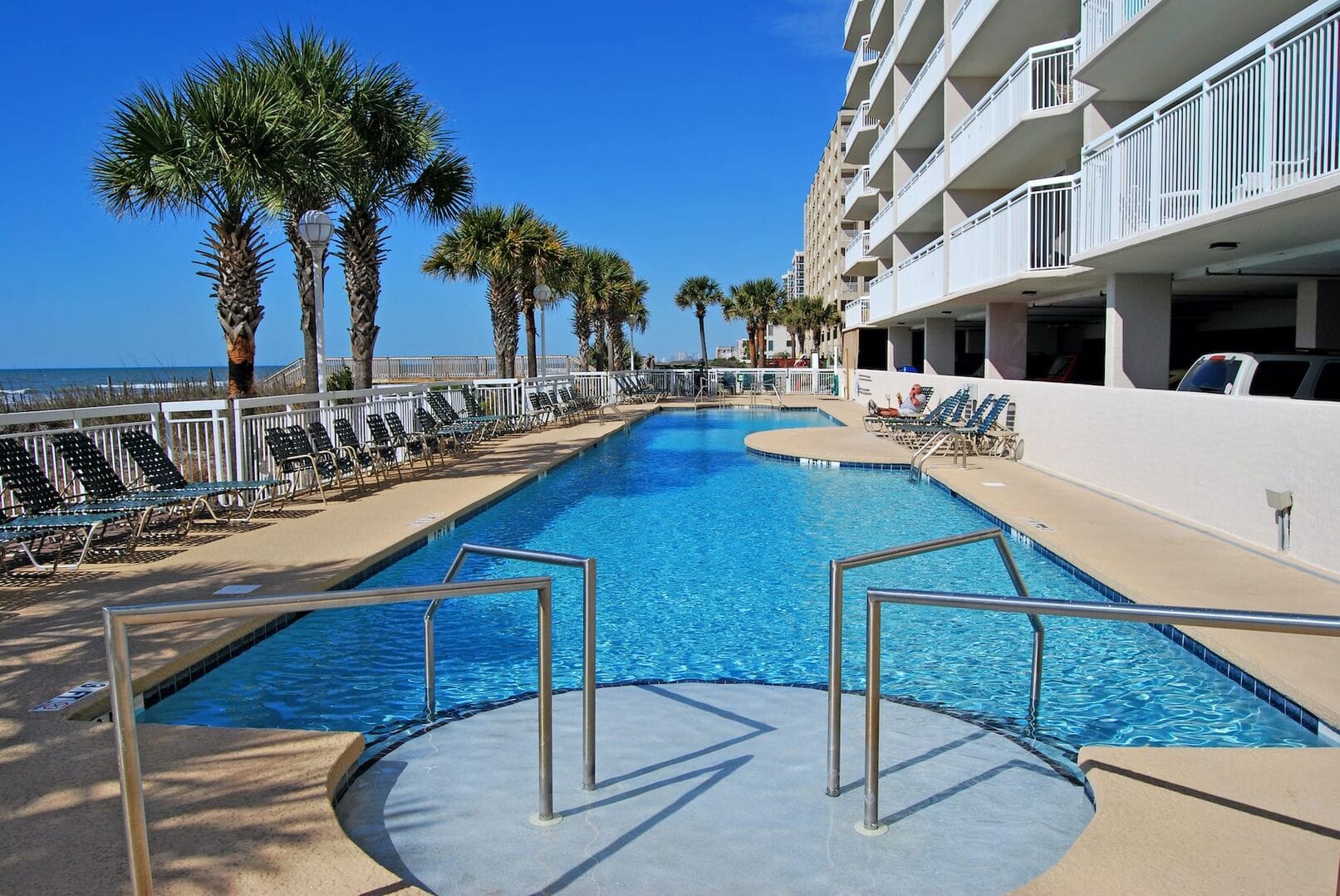 Outdoor pool with palm trees.