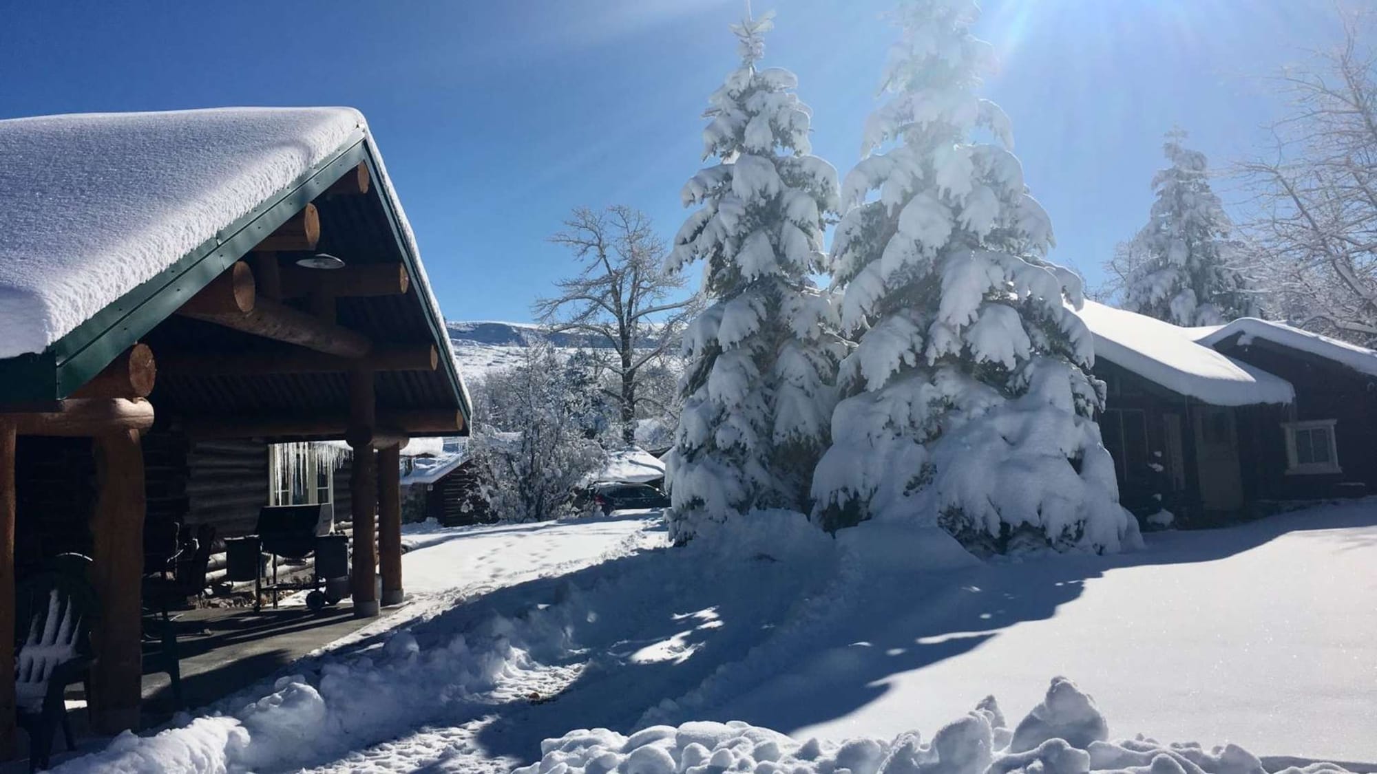 Snowy cabin by frosted trees.