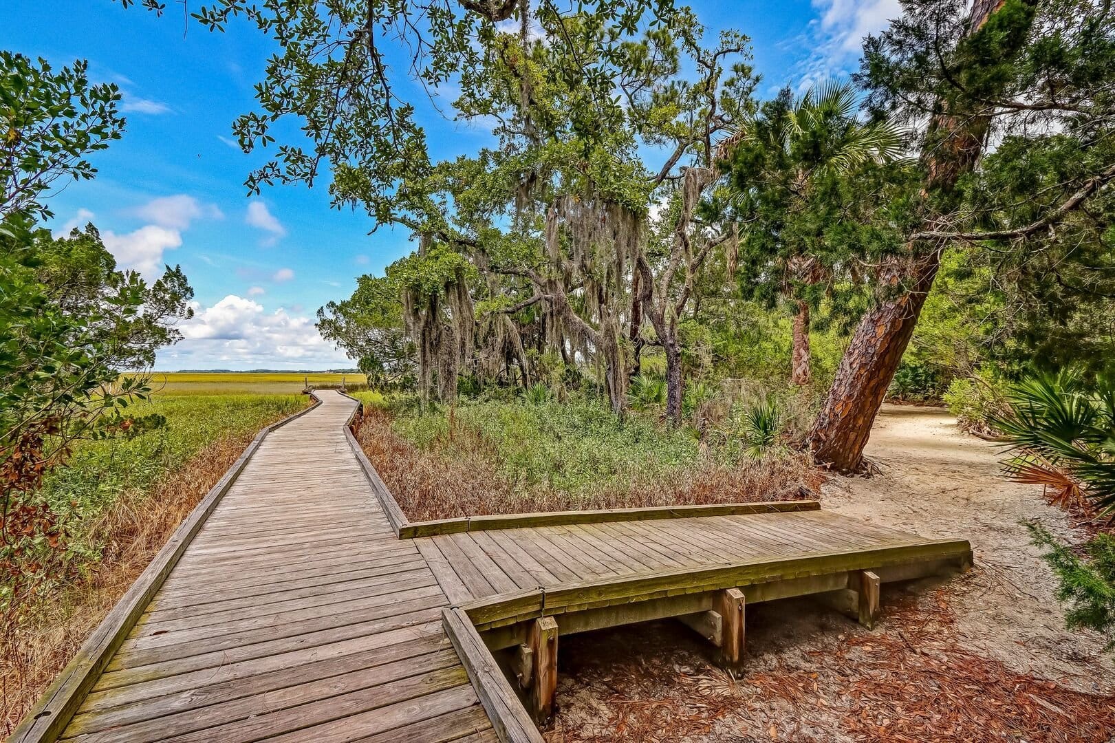 Wooden boardwalk through lush forest.