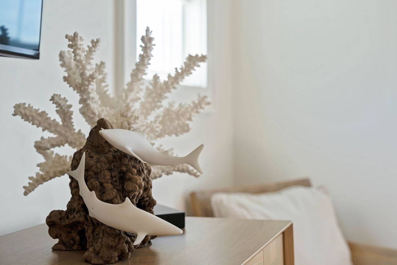 Shark sculpture with white coral.