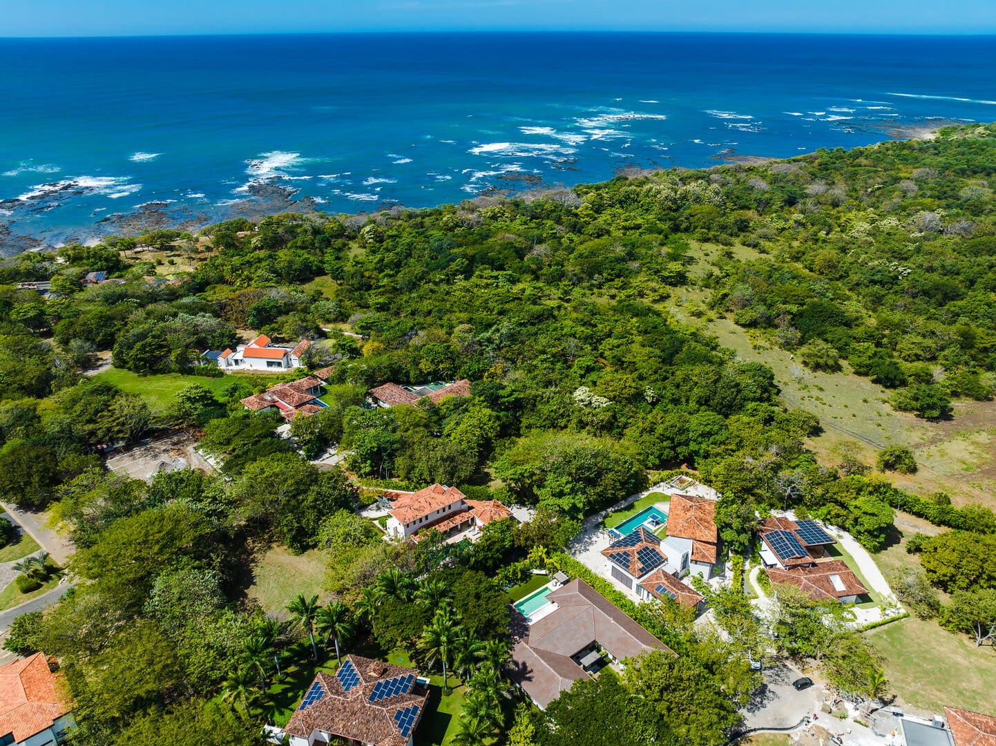 Oceanfront houses surrounded by forest.