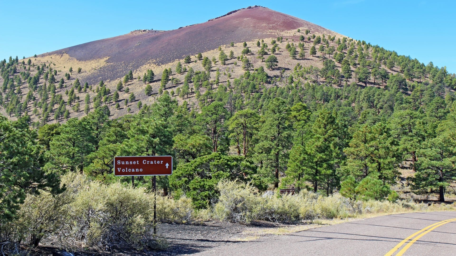 Volcano sign, trees, mountain background.
