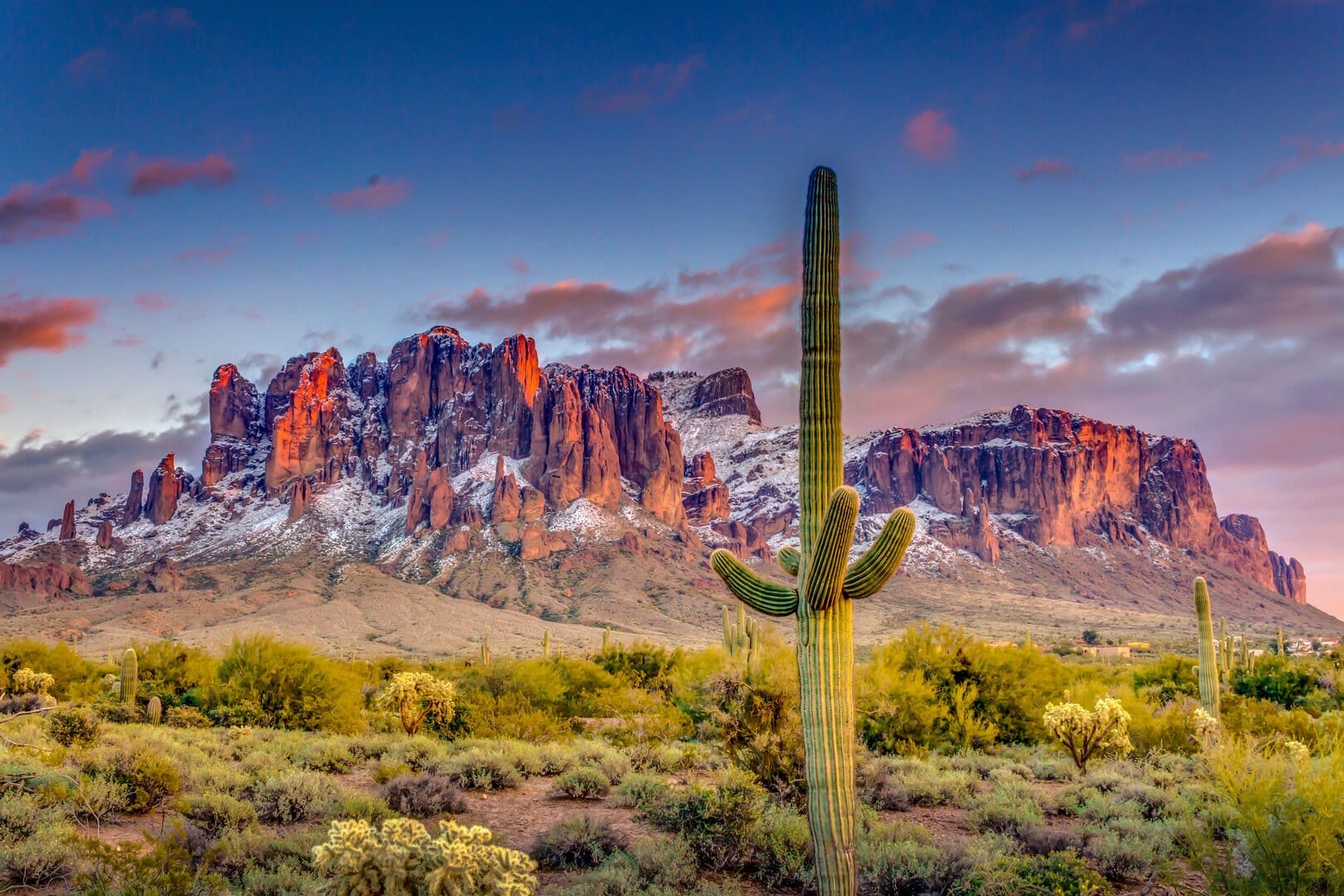 Cactus with colorful desert mountains.