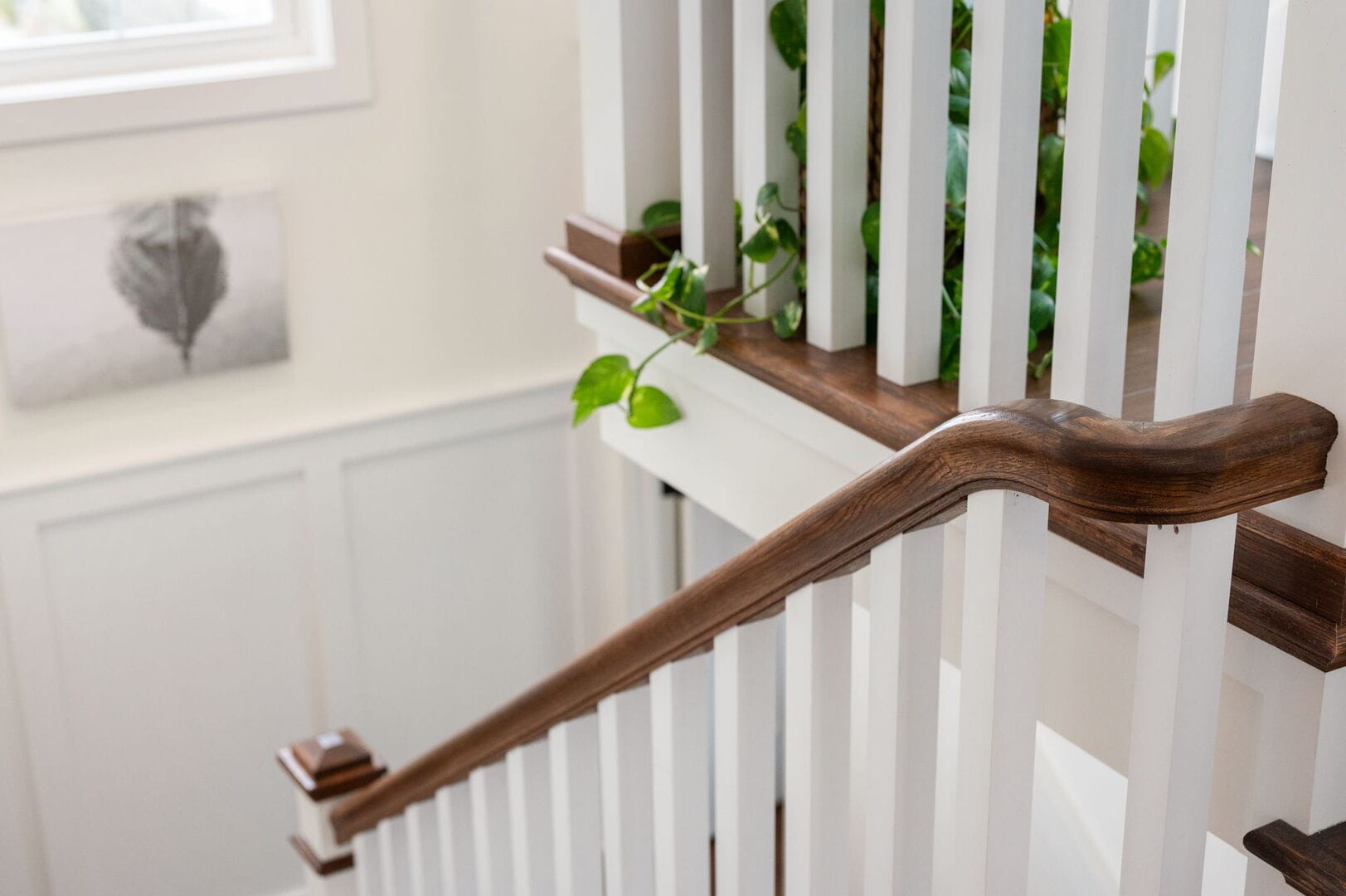 Staircase with plant on ledge.