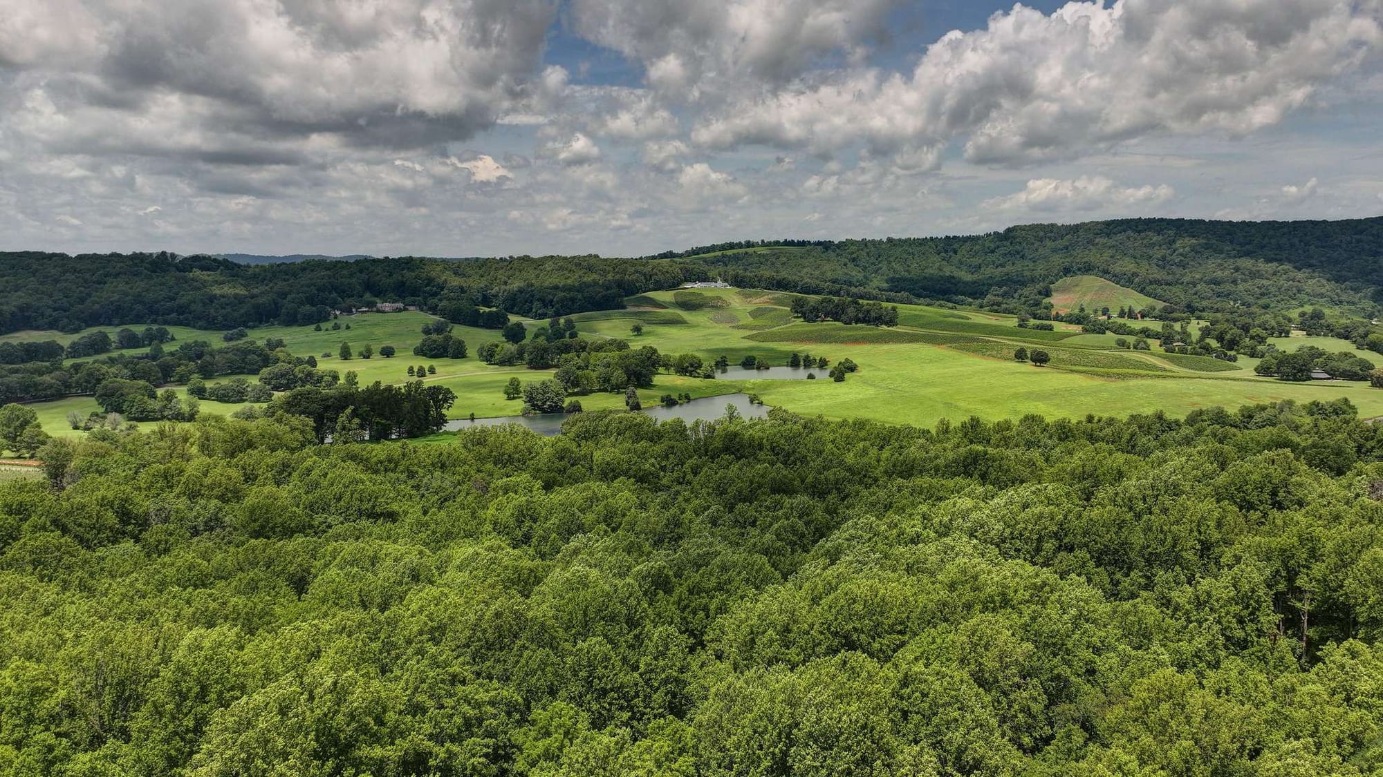 Cottage at Deer Ridge Farm in Charlottesville