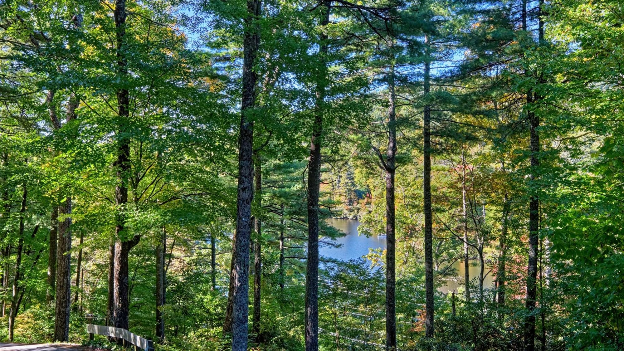 Lakeview Hideaway in Highlands