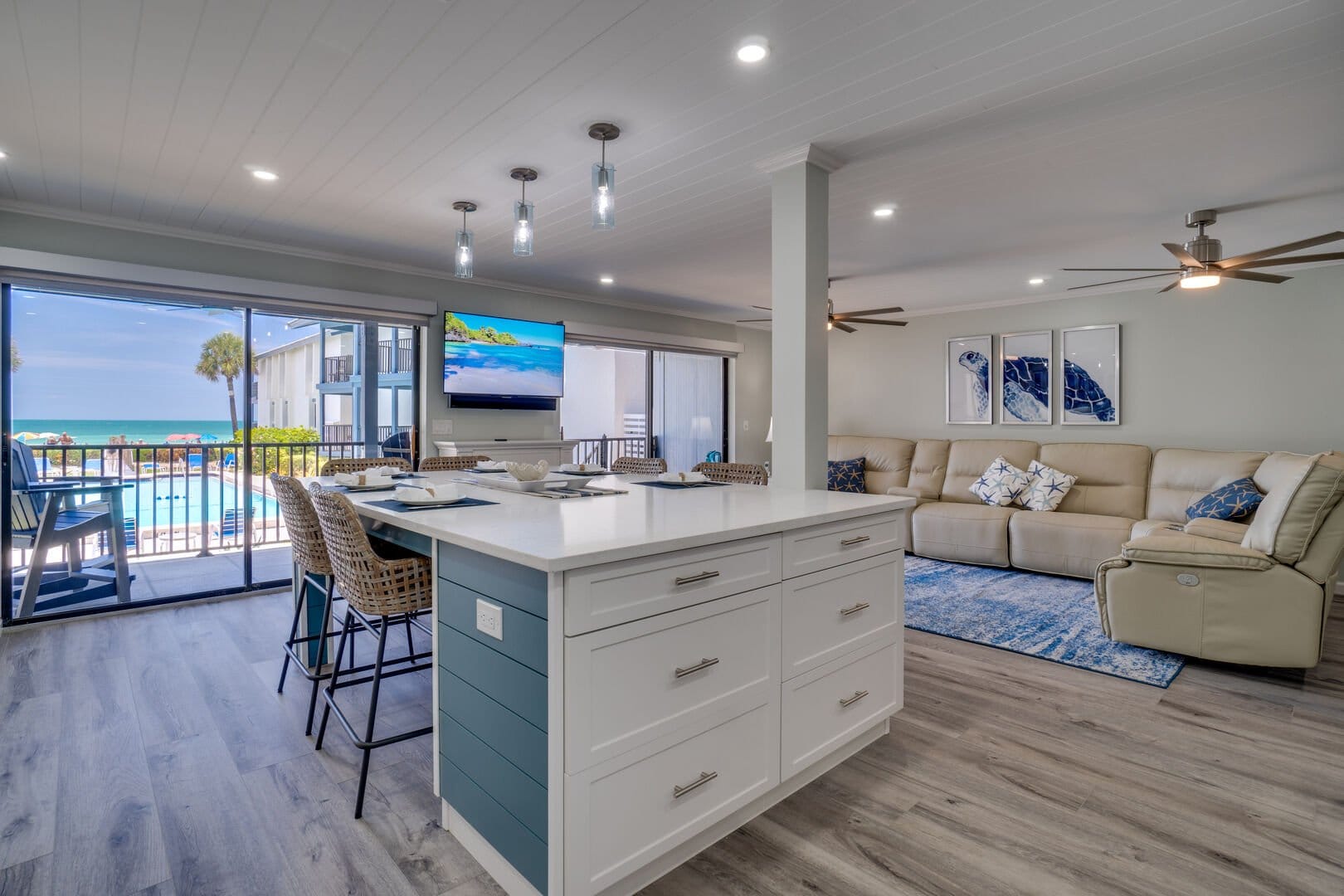 Sandy Turtle in Anna Maria Island And Sarasota