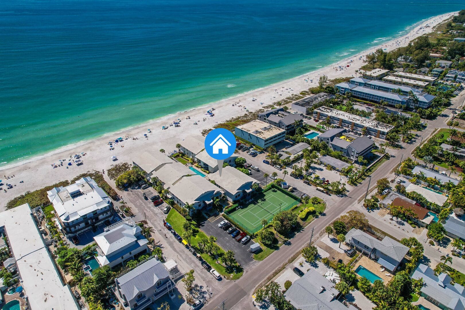 Sandy Turtle in Anna Maria Island And Sarasota