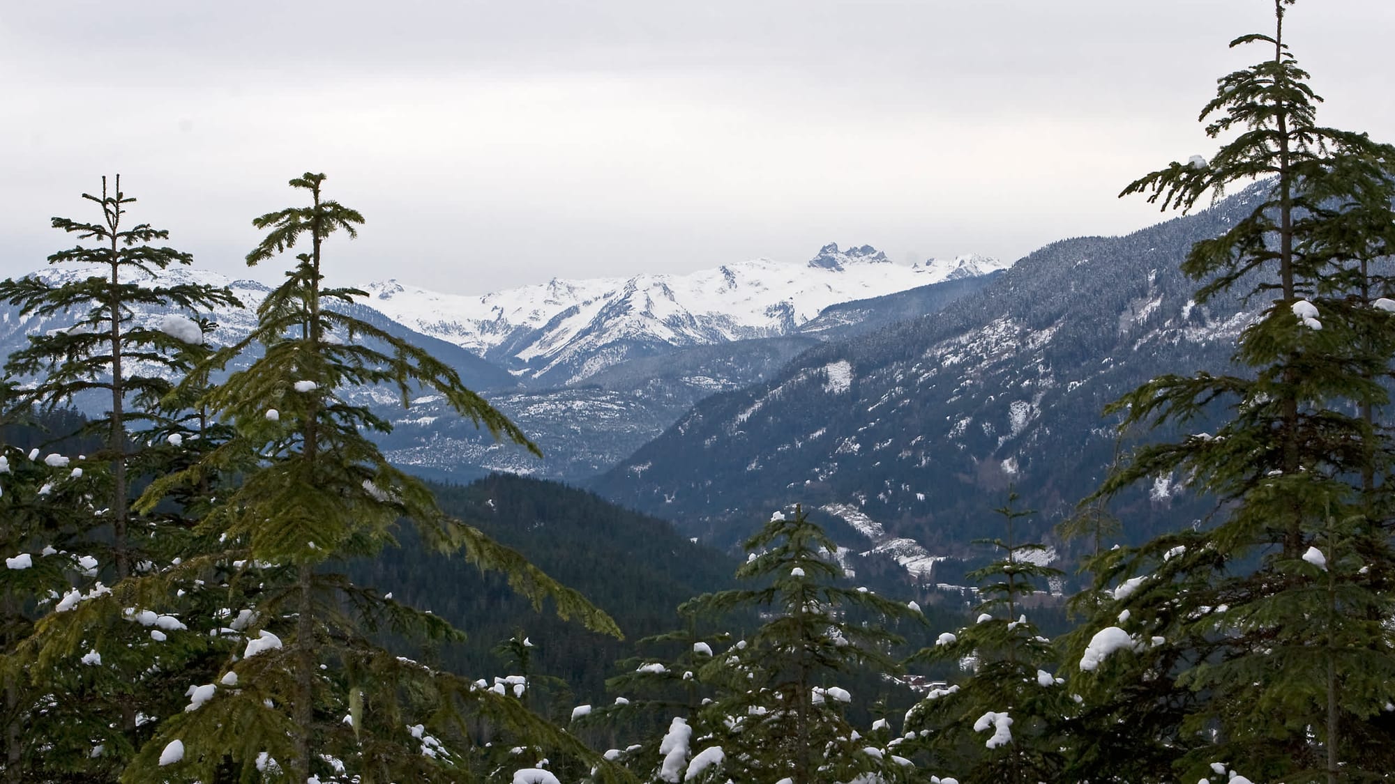 Kadenwood 2972