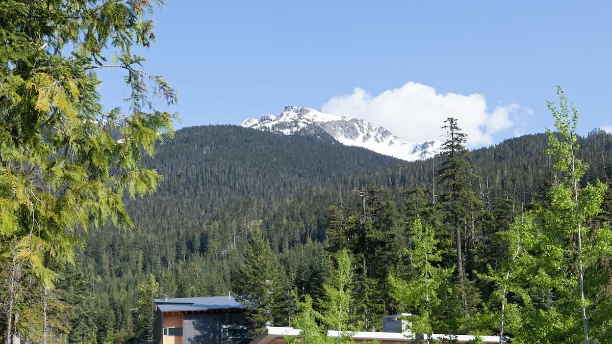 Kadenwood 2939