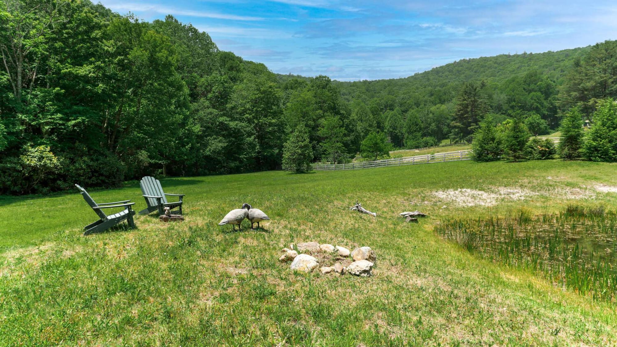 Shortoff Mountain View