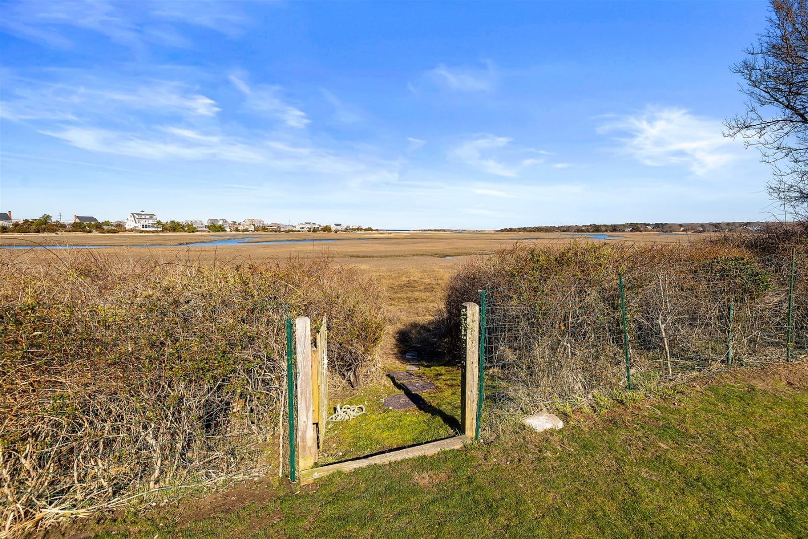 The Marshes