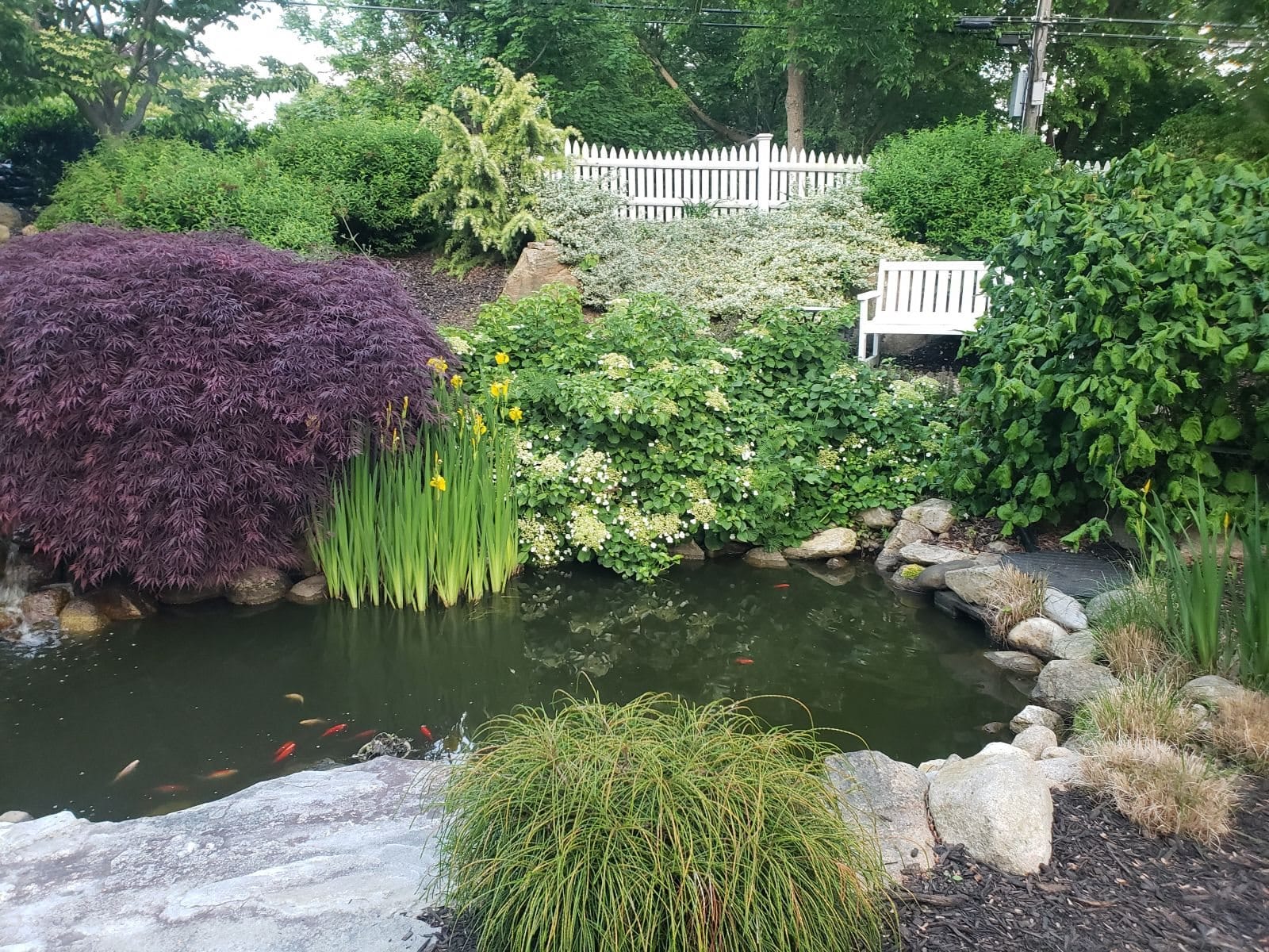 Long Dell Inn
