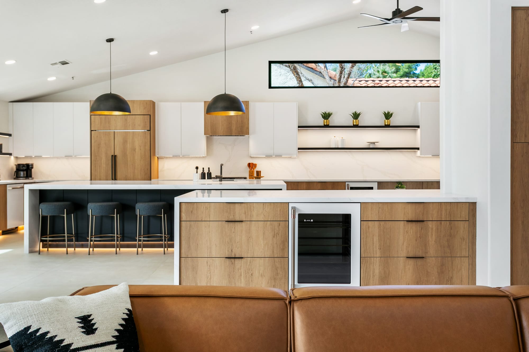 Agave Moderne