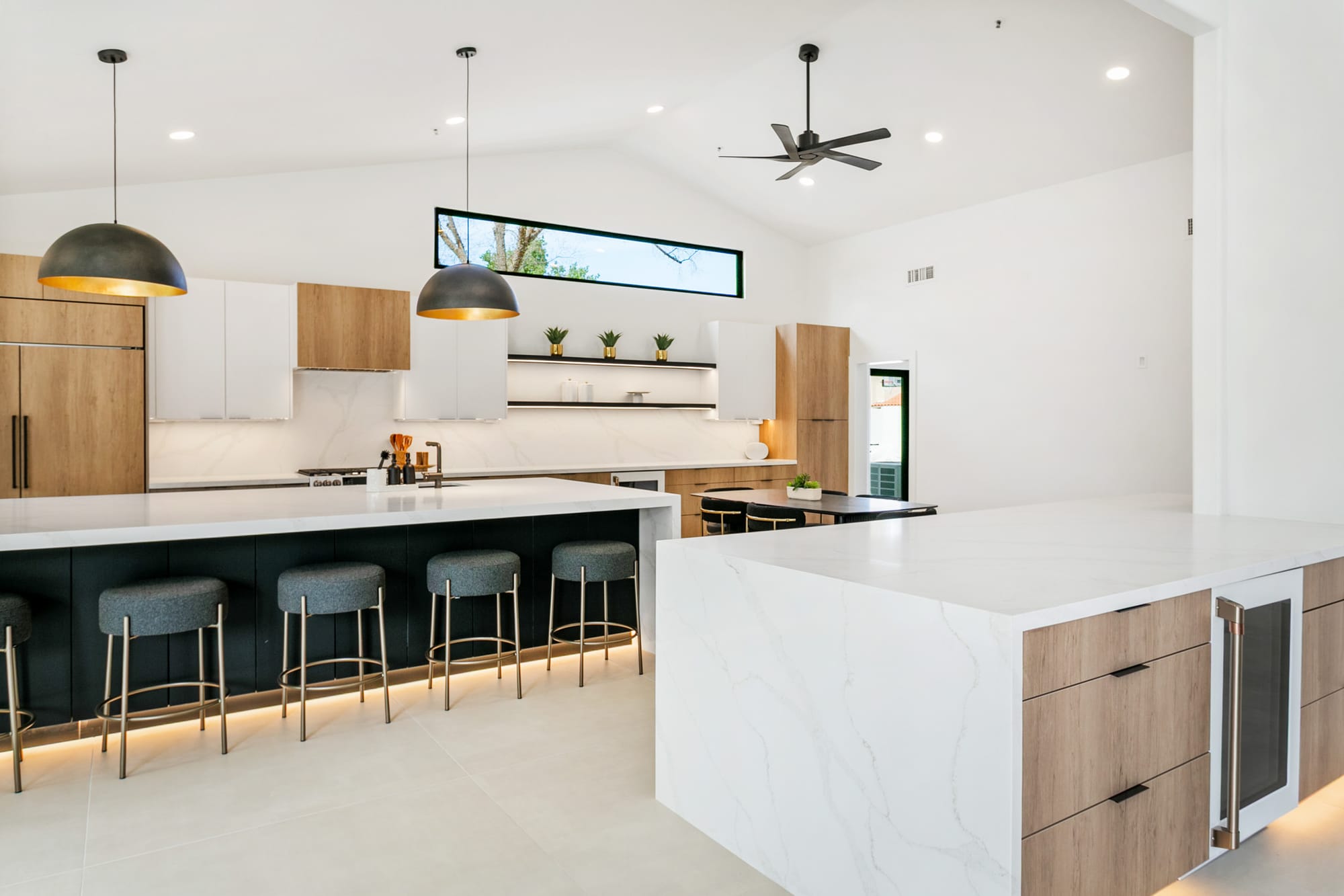 Agave Moderne