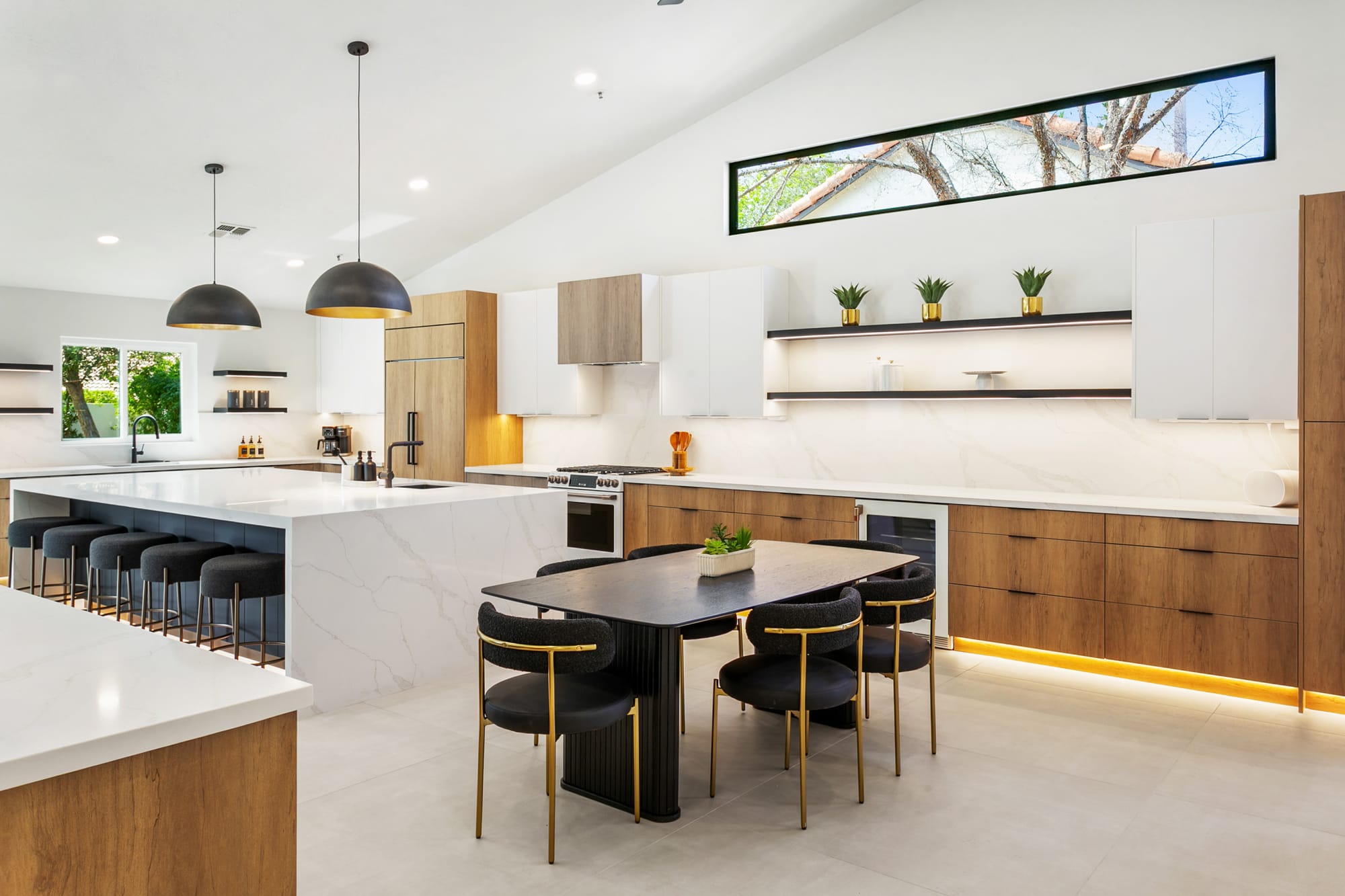 Agave Moderne