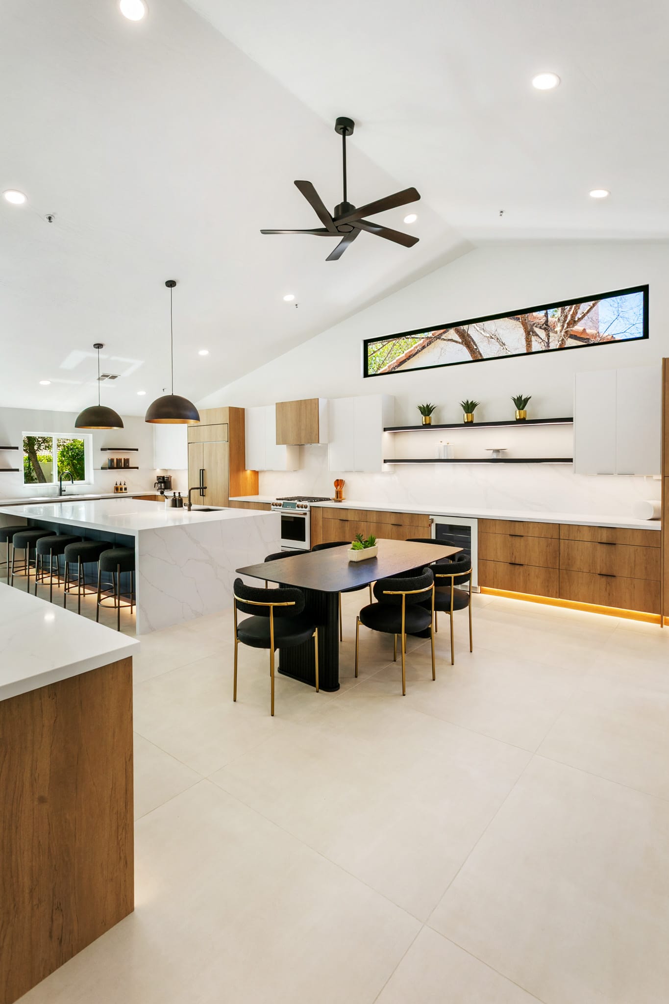 Agave Moderne