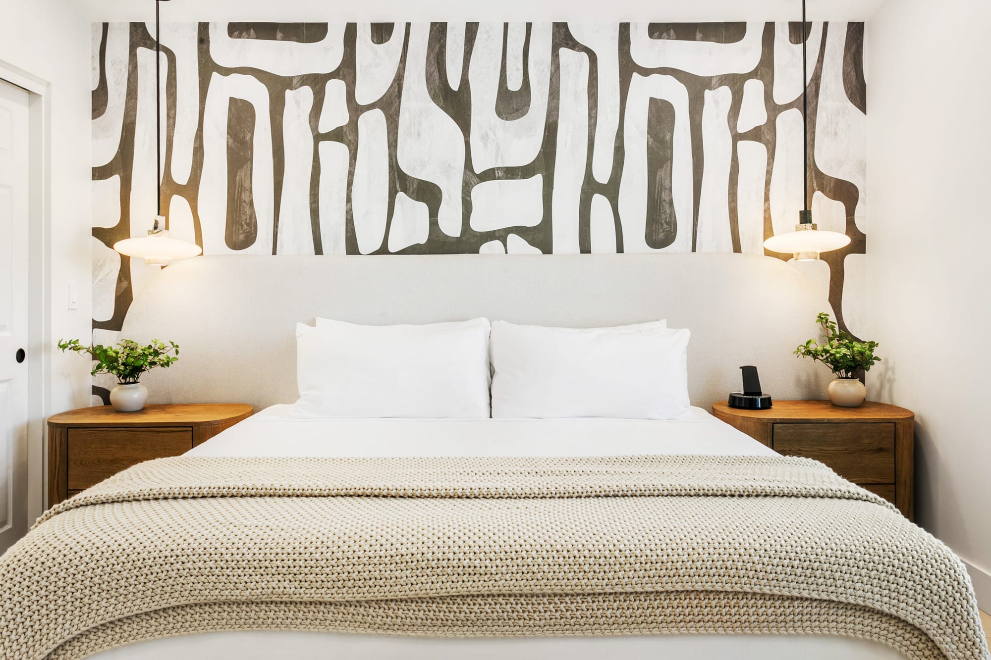 Agave Moderne