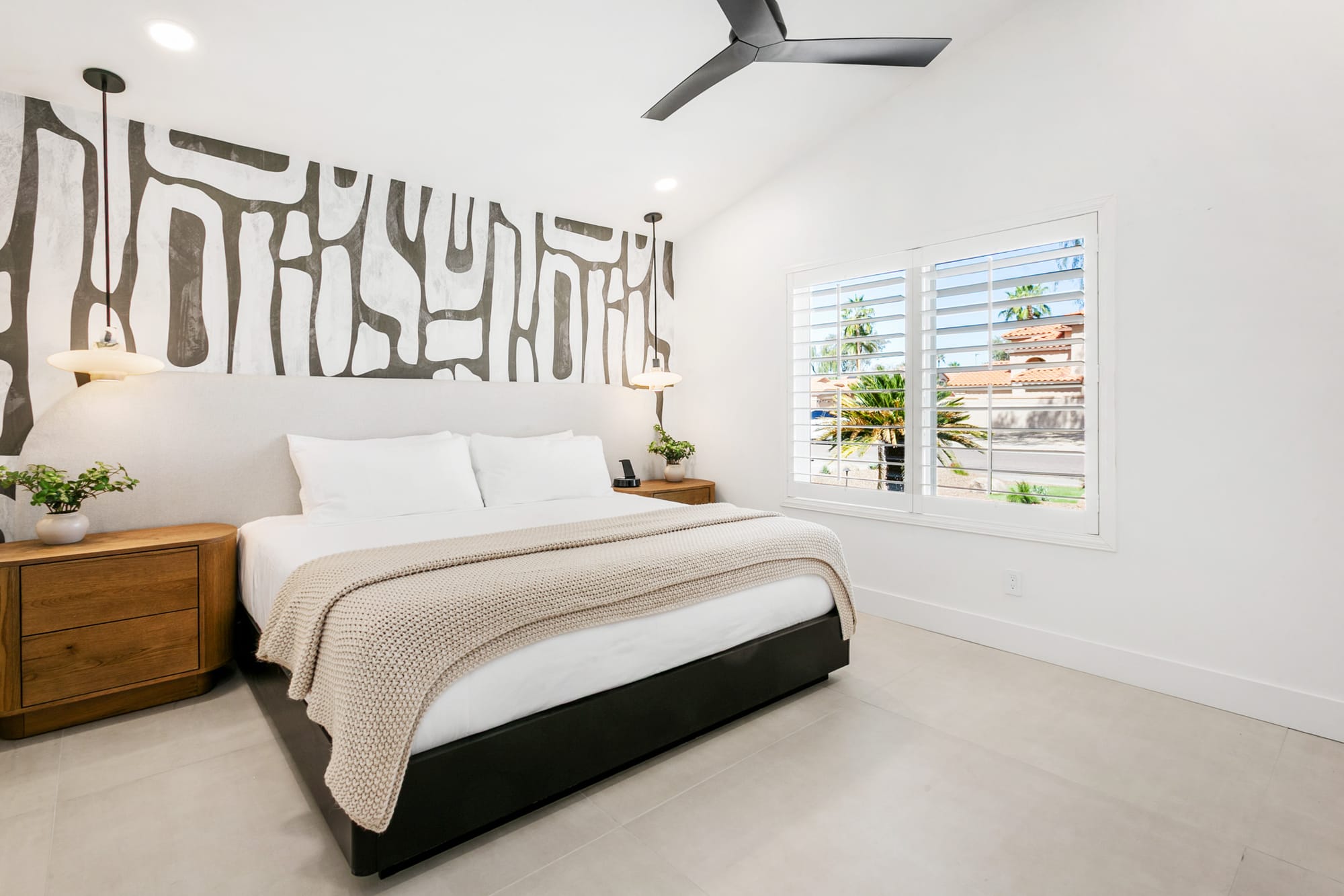 Agave Moderne