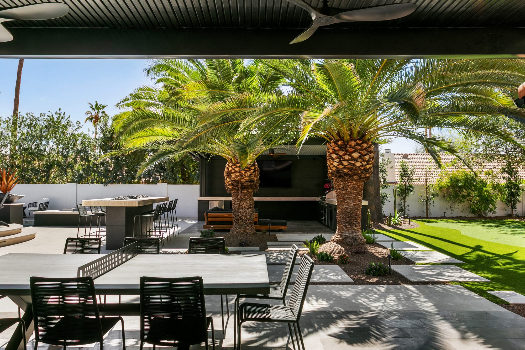 Agave Moderne