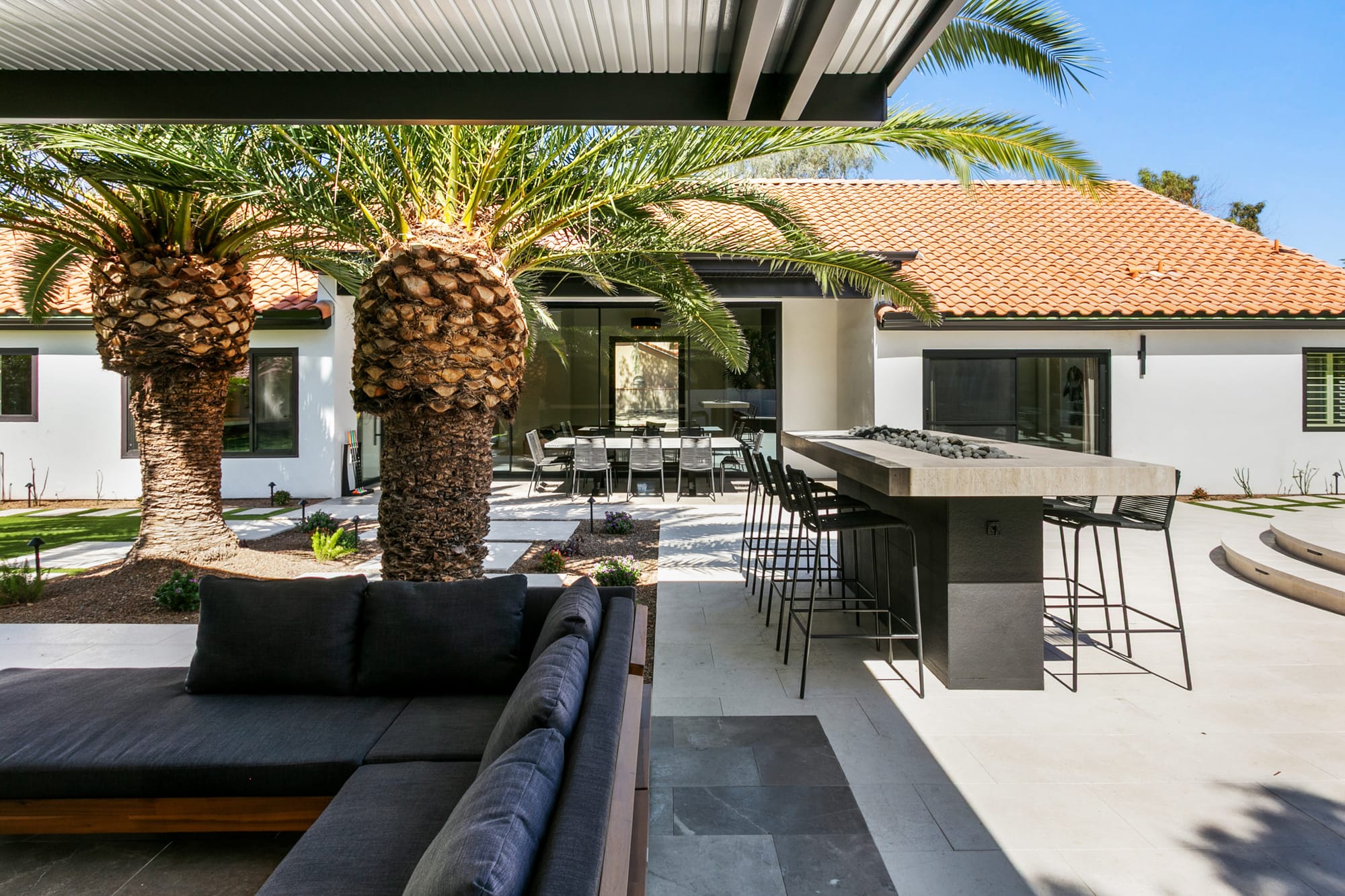 Agave Moderne