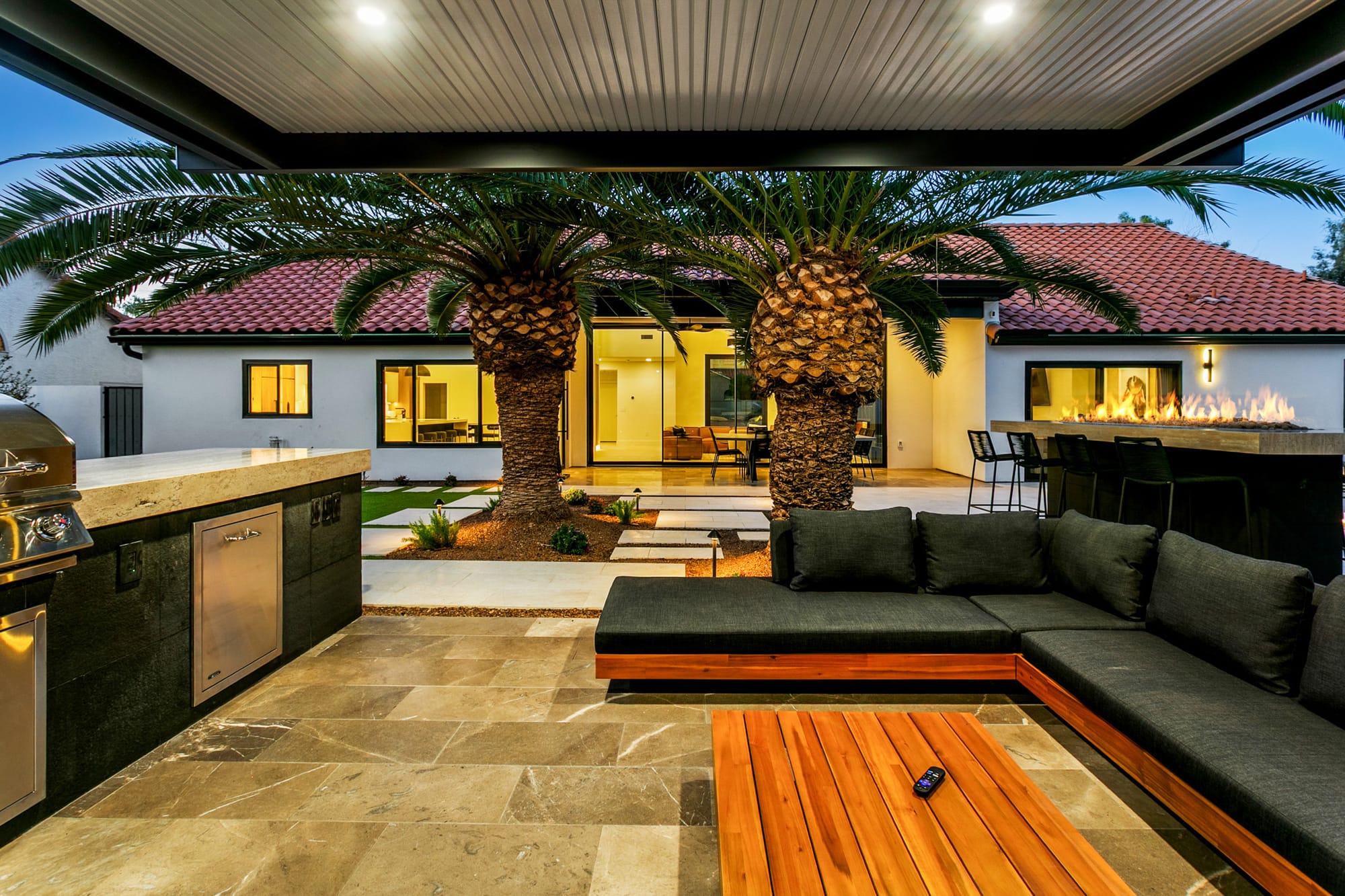 Agave Moderne