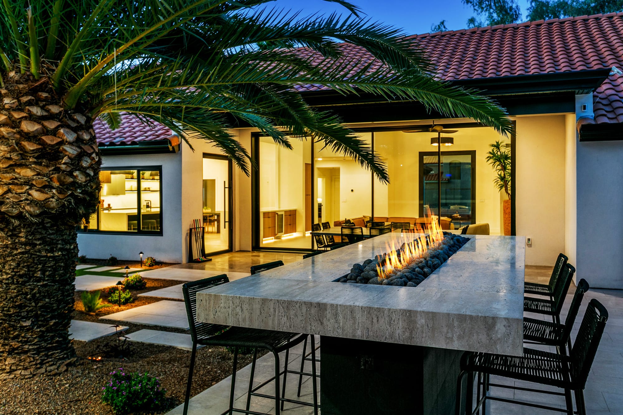 Agave Moderne