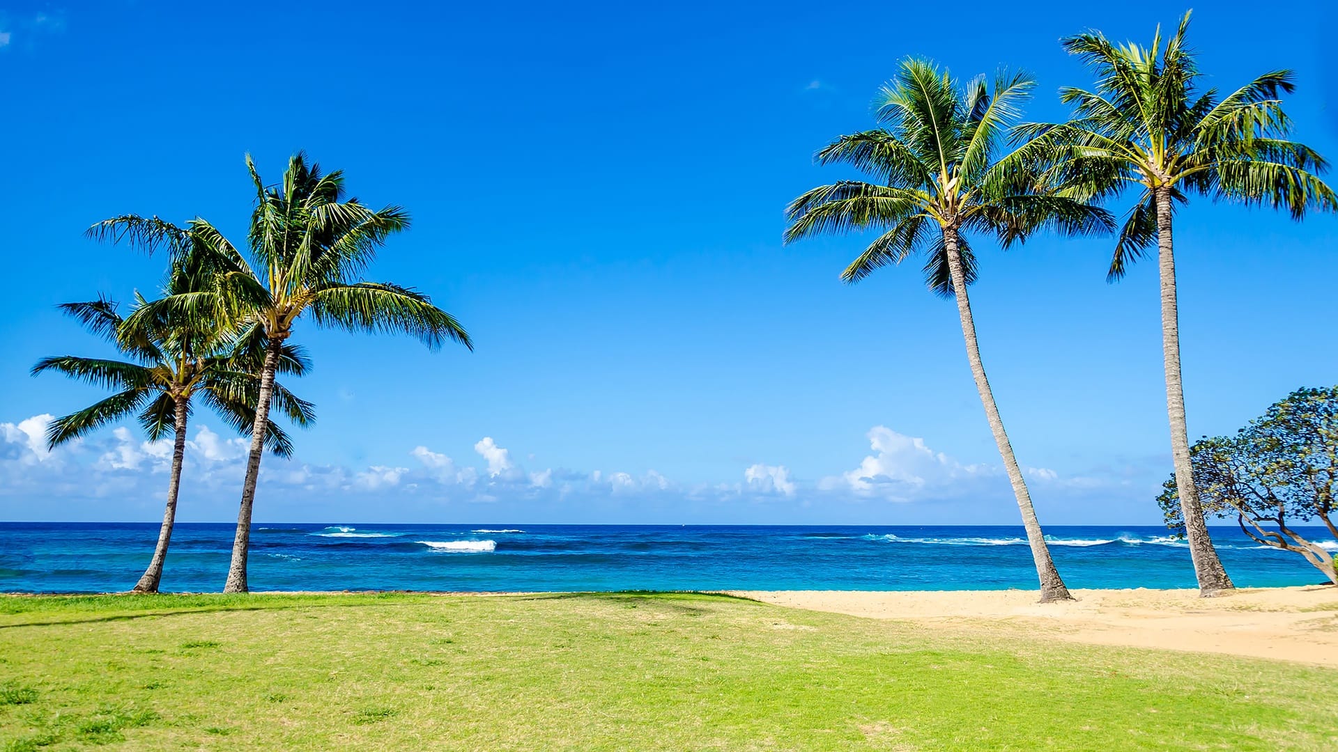 Honu Hale at Poipu