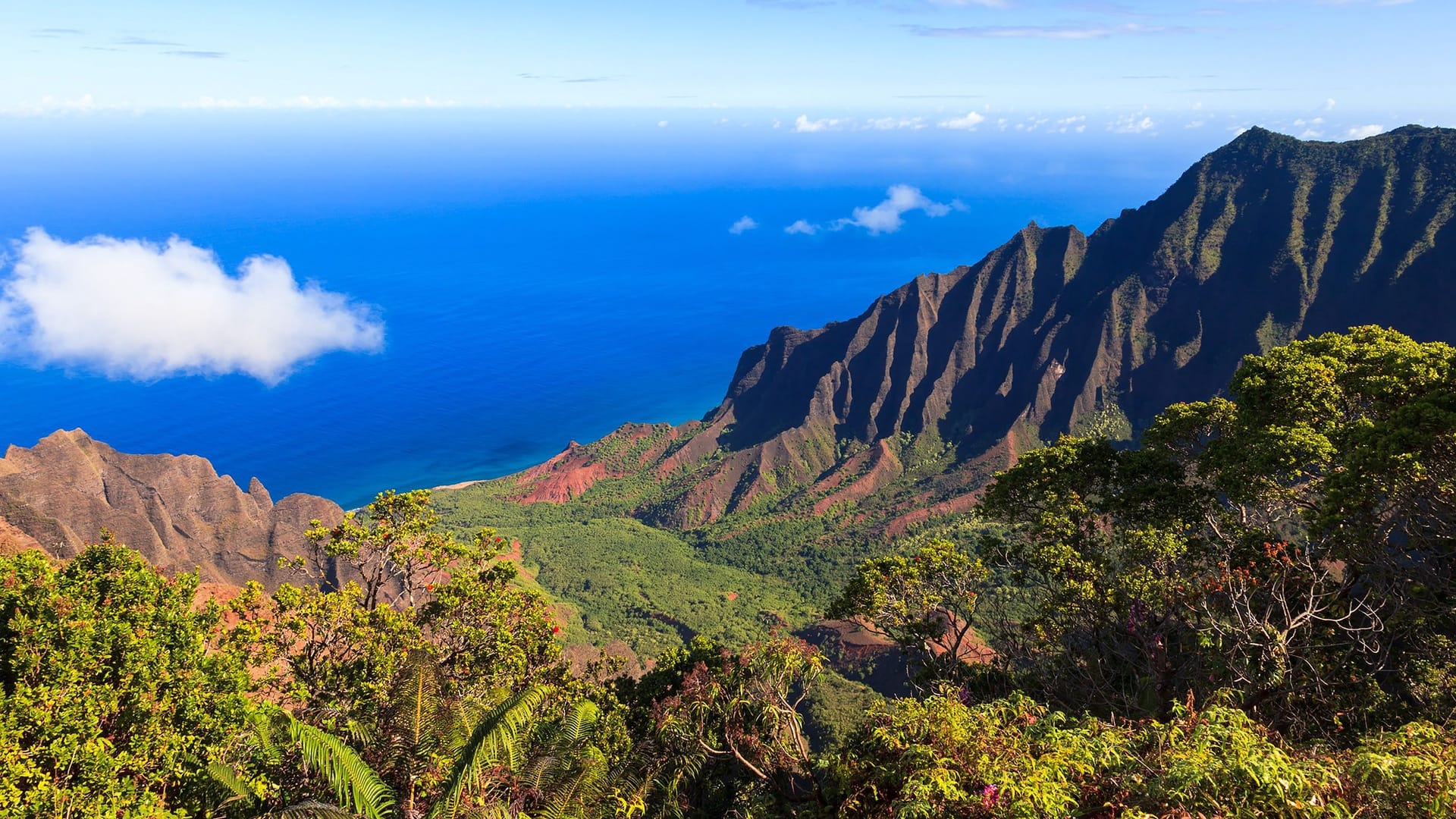 Honu Hale at Poipu