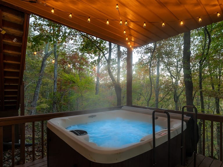 Wolf Den in Blue Ridge