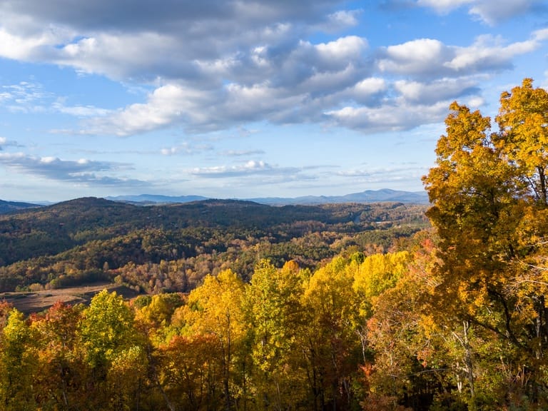 Wine Down Ridge in Blue Ridge