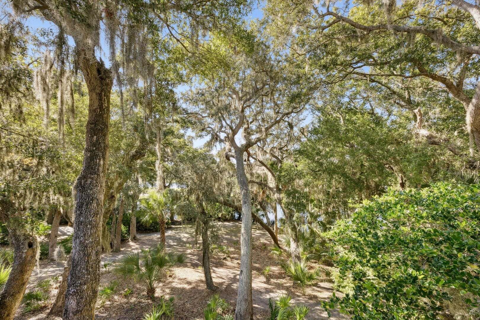 2055 Beach Wood