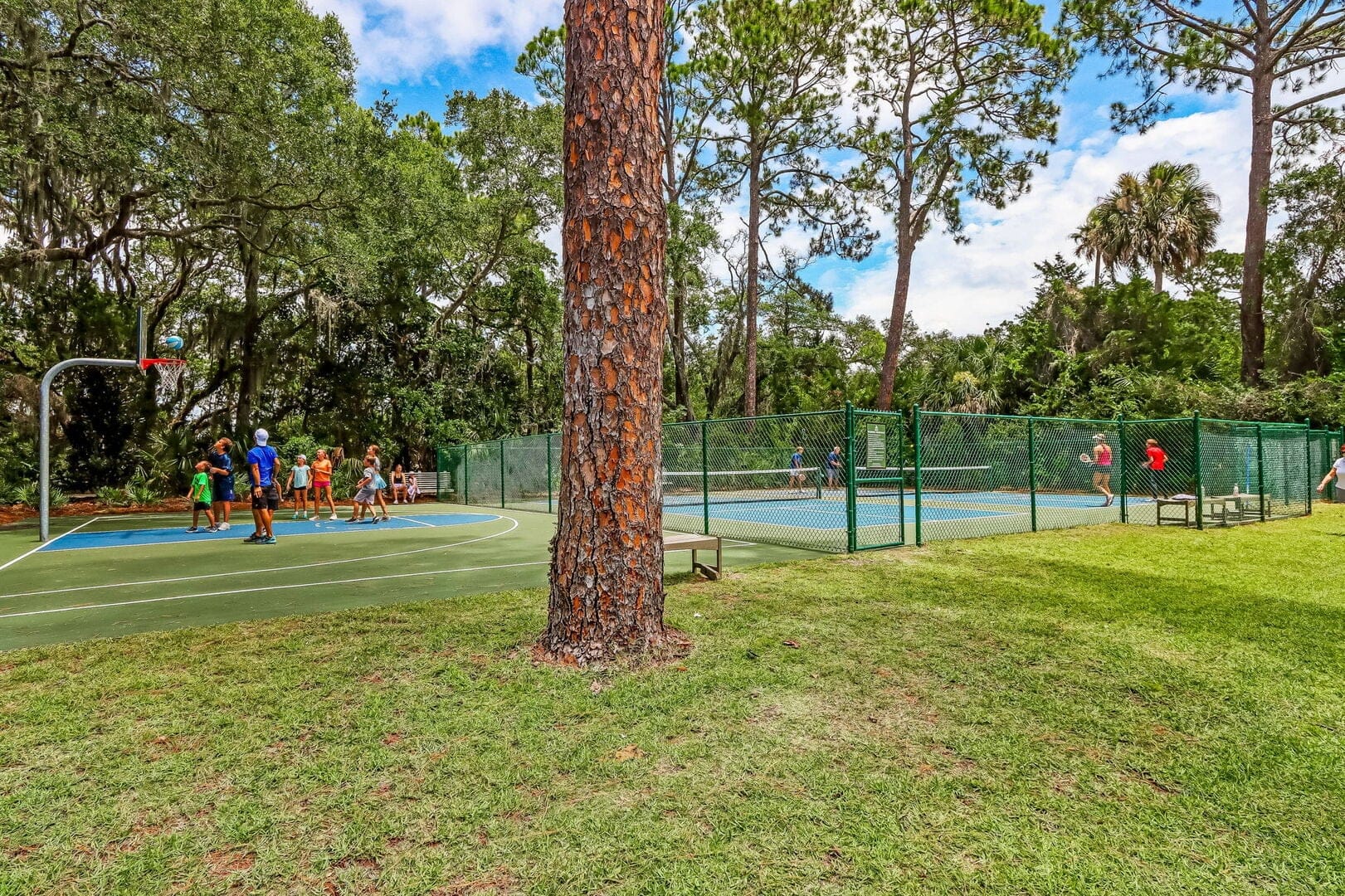 2055 Beach Wood