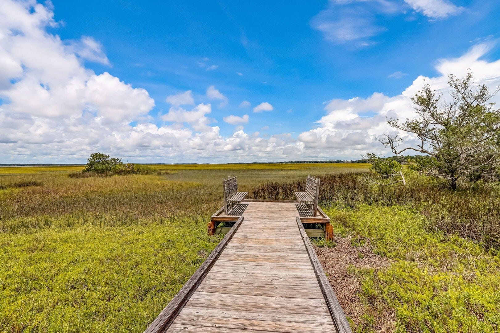 2055 Beach Wood