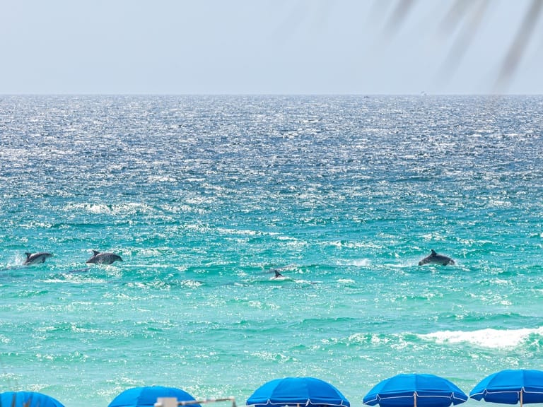 Silver Beach 0205e