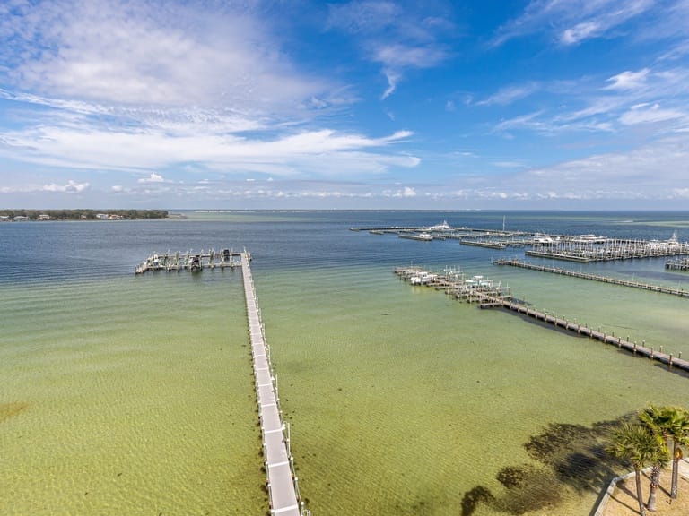 Destin West Bayside Osprey