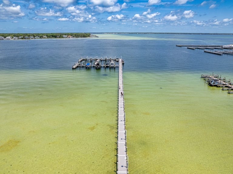 Destin West Bayside Osprey