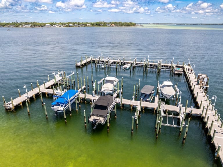 Destin West Bayside Osprey