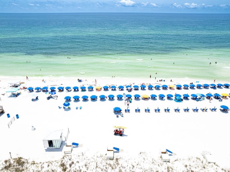 Destin West Bayside Osprey