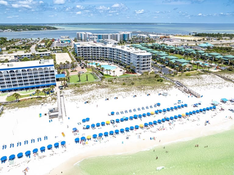 Destin West Bayside Osprey