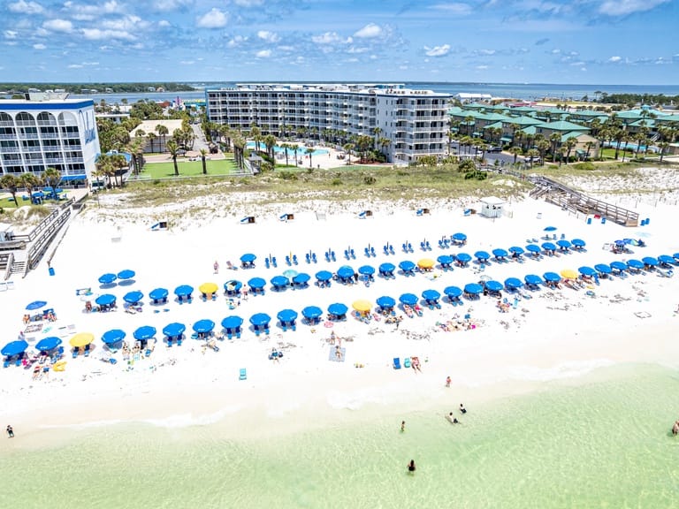 Destin West Bayside Osprey
