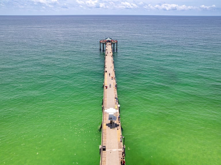 Destin West Bayside Osprey