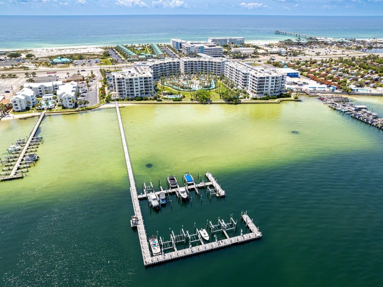 Destin West Bayside Osprey
