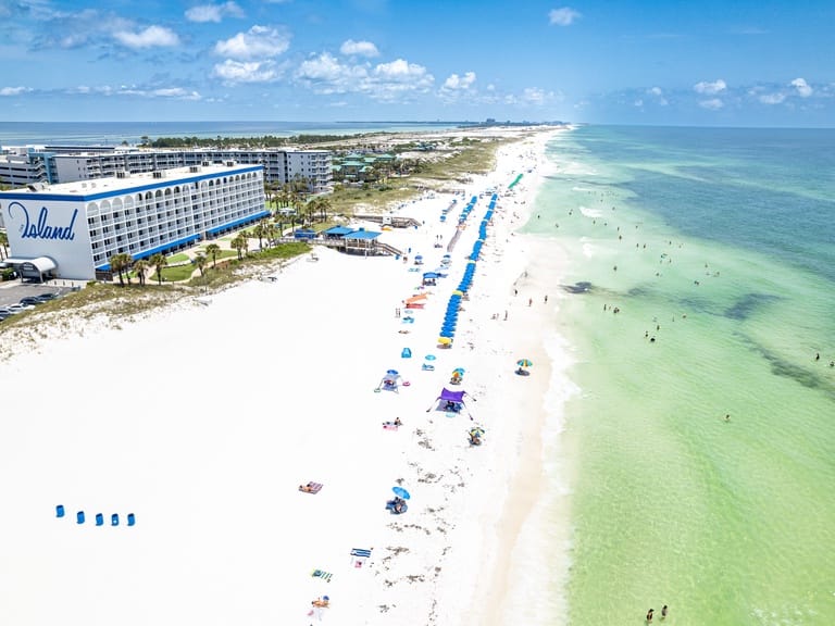 Destin West Bayside Osprey