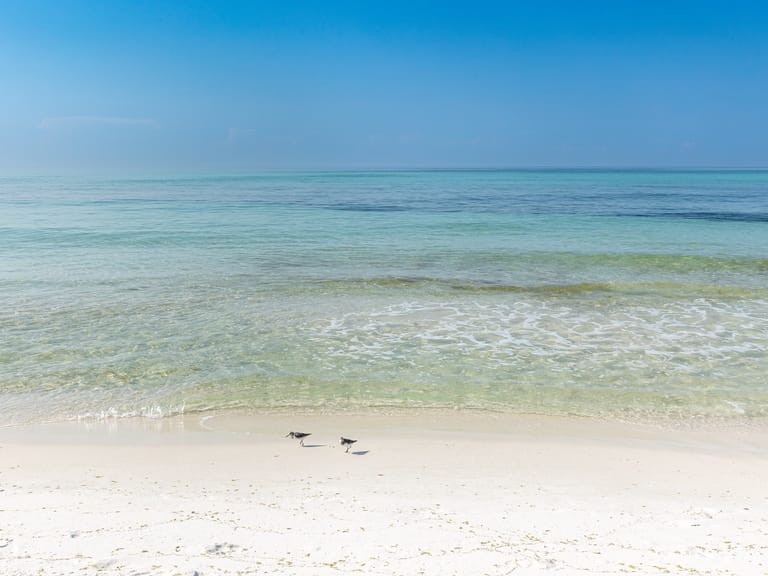 Islander Beach Resort 403