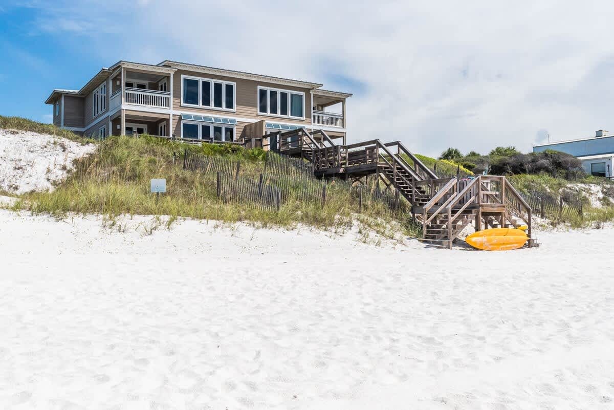 Pelican Paradise